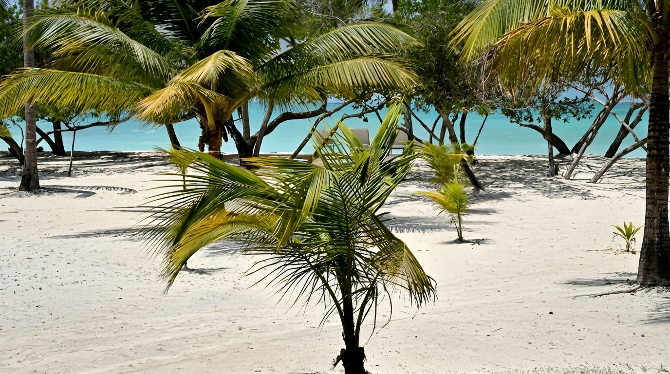 Agua Azul - foto 2