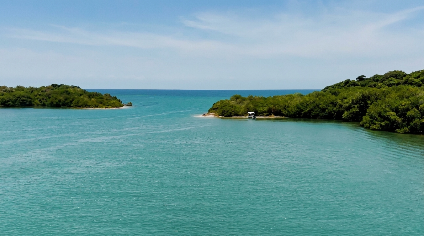 Ciénaga de los Vásquez - foto 3